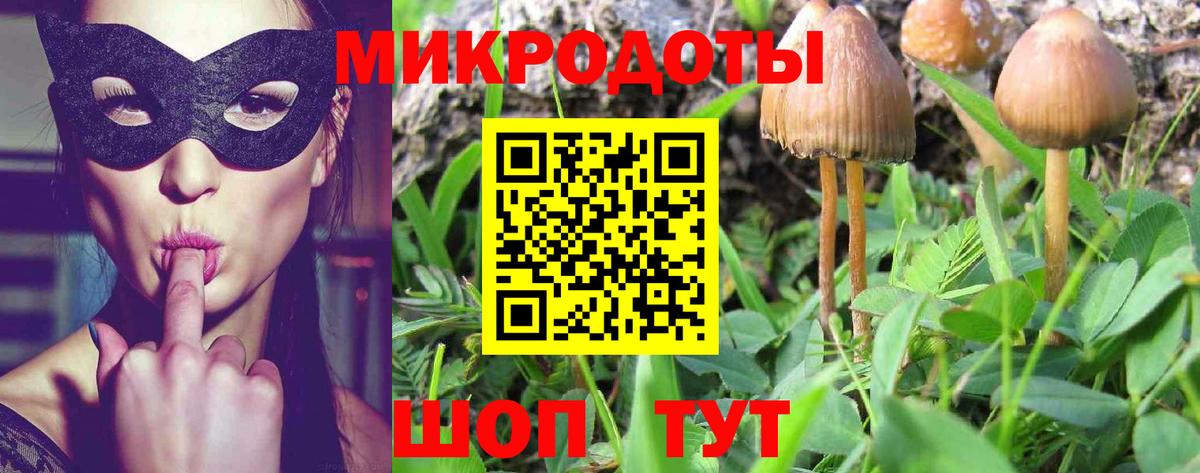Галлюциногенные грибы Psilocybine cubensis Шелехов